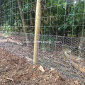 Hot Dipped Galvanized Field Wire Fencing